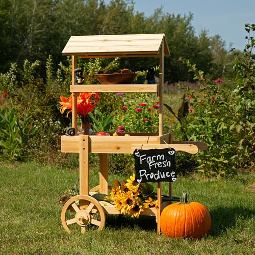 Sunnydaze Country Market Flower Cart Display Stand with Wheels - 2 Shelves - Fir Wood - 30 lb Weight Capacity - Natural Fir - color: Natural Fir