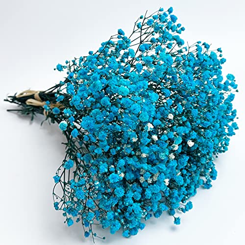 Preserved Baby's Breath 3 Bunches, 100% Natrual Fresh Gypsophila Long Lasting Flowers for Vase Arrangements Home Decoration Photo Props Parties and Weddings, DIY Décor-Light Blue - color: Light Blue