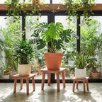 Pinkunn 3 Pcs Wood Plant Stand Indoor Plant Stand for 3-12 Inch Pots Mid-century Modern Plants Stool Plants Pot Holder Home Decor for Balcony Living Room Office Courtyard Detachable(Square Style) - style: Square Style