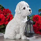 Bits and Pieces - Dog Solar Lantern Statue - Solar Powered Garden Lantern - Resin Dog Sculpture with LED Light - Outdoor Lighting and Décor (Bichon) - style: Bichon