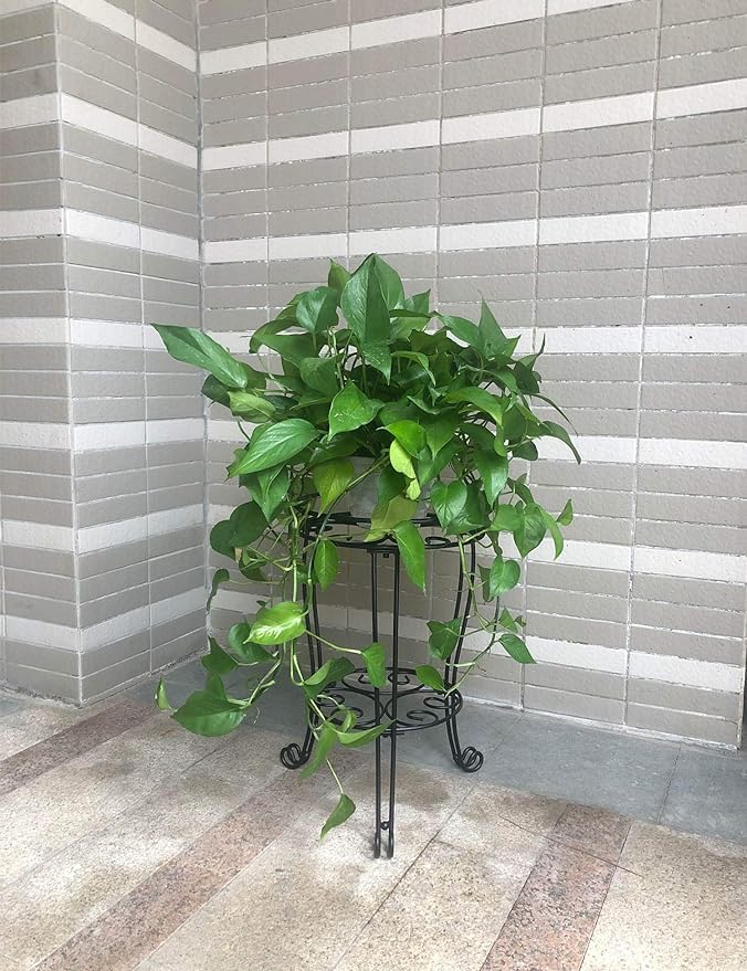 11.8 inches Diameter Tall Metal Plant Stand for Indoor or Outdoor,Heavy Duty Flower Pot Stand Rack Holds Big Heavy Plants,Black (18.9 INCHES TALL) - size: 18.9 INCHES TALL