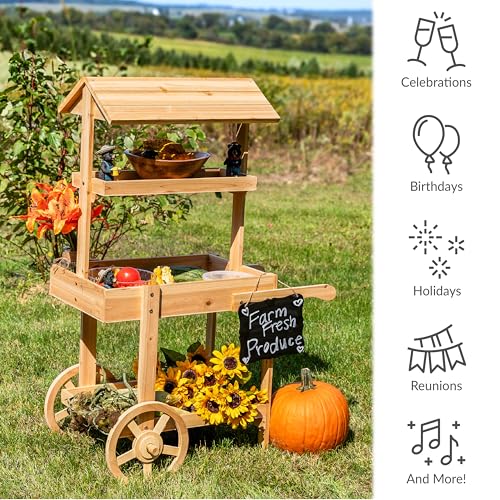 Sunnydaze Country Market Flower Cart Display Stand with Wheels - 2 Shelves - Fir Wood - 30 lb Weight Capacity - Natural Fir - color: Natural Fir