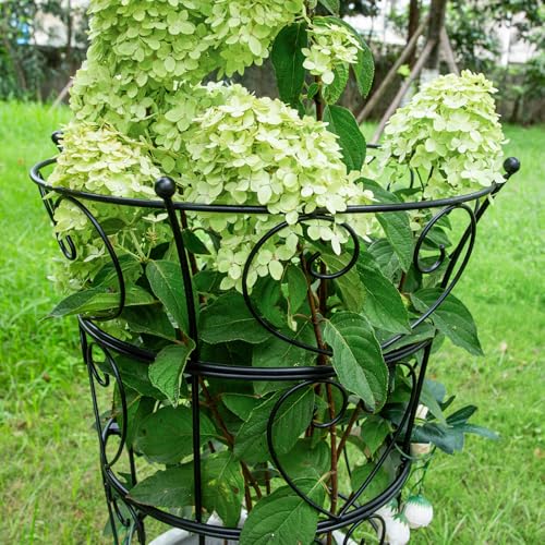 Large Obelisk Trellis Peony Cage 24.6x17 Inches - Premium Metal Plant Support for Outdoor Gardens, Easy Assembly, Sturdy Design, Perfect for Climbing Plants - size: 24.6"x17"
