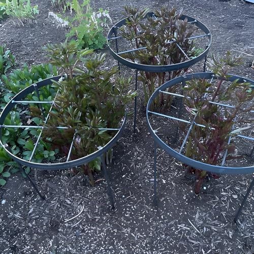 Large Peony Cages and Supports 18.9"x23.6" - Durable Round Garden Flower Rings | Tall Plant Support Stakes for Outdoor Peonies | Enhances Peony Planting Success with Secure Grounding - size: 23.6"x18.9"