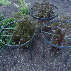 Large Peony Cages and Supports 18.9"x23.6" - Durable Round Garden Flower Rings | Tall Plant Support Stakes for Outdoor Peonies | Enhances Peony Planting Success with Secure Grounding - size: 23.6"x18.9"