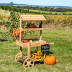 Sunnydaze Country Market Flower Cart Display Stand with Wheels - 2 Shelves - Fir Wood - 30 lb Weight Capacity - Natural Fir - color: Natural Fir