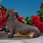 Bits and Pieces - Dog Solar Lantern Statue - Solar Powered Garden Lantern - Resin Dog Sculpture with LED Light - Outdoor Lighting and Décor (Dachshund) - style: Dachshund
