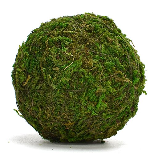 BYHER Natural Green Moss Decorative Ball,Handmade (2"-Set of 12) - size: Small-2"-Set of 12