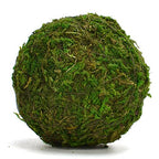 BYHER Natural Green Moss Decorative Ball,Handmade (2"-Set of 12) - size: Small-2"-Set of 12