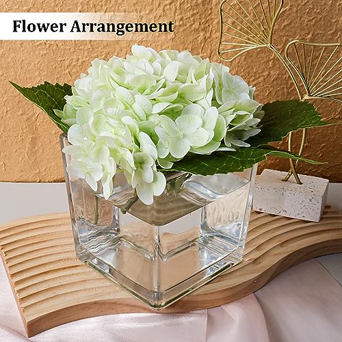 Set of 6 Square Glass Vases 5" x5" x 5", Clear Flower Vases for Centerpieces, Candle Holder for Wedding Party Events, Home Décor - size: 5inch