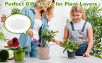 6 Pack 12 Inch Heavy Duty Clear Plastic Plant Saucer Sturdy Pot Tray Plant Drip Trays for pots,Plant Water Catcher Tray,Flower Pot Saucer Water Drainage Tray Floor Protector (12 Inch) - size: 12 inch