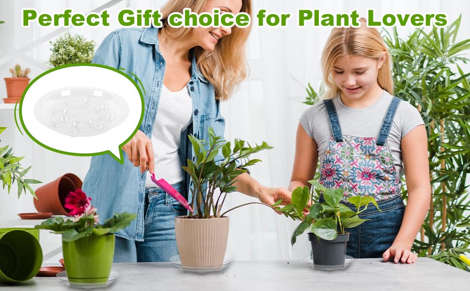 6 Pack Heavy Duty Clear Plastic Plant Saucer Sturdy Pot Tray Plant Drip Trays Drip Trays for pots,Plant Water Catcher Tray,Flower Pot Saucer Water Drainage Tray Floor Protector (10 INCH) - size: 10 inch