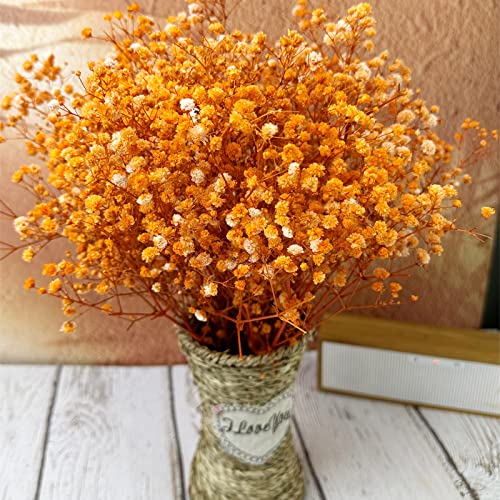 Preserved Baby's Breath 3 Bunches, 100% Natrual Fresh Gypsophila Long Lasting Flowers for Vase Arrangements Home Decoration Photo Props Parties and Weddings, DIY Décor-Orange - color: Orange