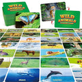Hebayy Wild Animal Matching Game, 80 PCS Realistic Animal Memory Matching Cards for Toddlers 40 Pairs Real Animal Memory Cards Educational Toys for Preschool Boys & Girls 4 5 6 Years Old - style: Animal