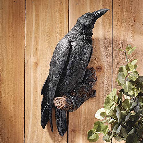 Design Toscano The Raven's Perch Gothic Decor Wall Sculpture, Single