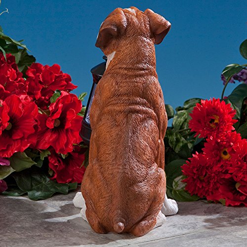 Bits and Pieces - Dog Solar Lantern Statue - Solar Powered Garden Lantern - Resin Dog Sculpture with LED Light - Outdoor Lighting and Décor (Boxer) - style: Boxer