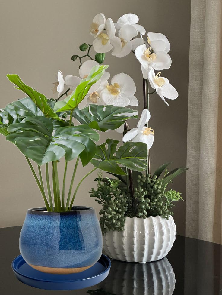2 Pack Ceramic Plant Saucer Pot Tray 6 Inch, Planter Saucers 4 5 6 7 8 9 10 11 12 13 Inch for Indoors Outdoor, Durable Sturdy Flower Drainage drip Water Tray for Glazed Pots Base (6.4 Inch-Blue) - color: Blue, size: 6.4in 2pack