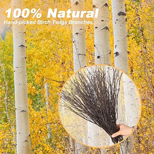 30Pcs Real Dried Birch Twigs - 16” Decorative 100% Natural Birch Branches for Easter Vases, Curly Willow Branches, DIY, Floral Arrangement, Twig Wreath, Centerpiece, Rustic Home Decor - size: 30