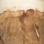 Creative Co-Op 13" H Carved Paulownia Wood Vase with Live Edge (Each one Will Vary)